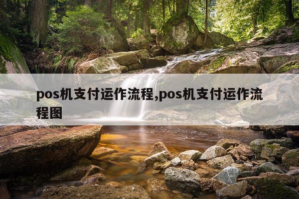 pos机支付运作流程,pos机支付运作流程图