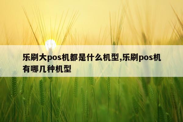乐刷大pos机都是什么机型,乐刷pos机有哪几种机型
