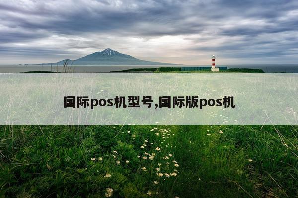 国际pos机型号,国际版pos机