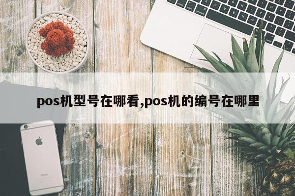 pos机型号在哪看,pos机的编号在哪里