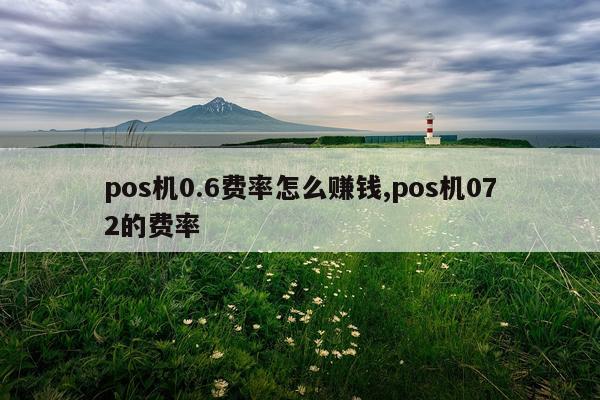 pos机0.6费率怎么赚钱,pos机072的费率