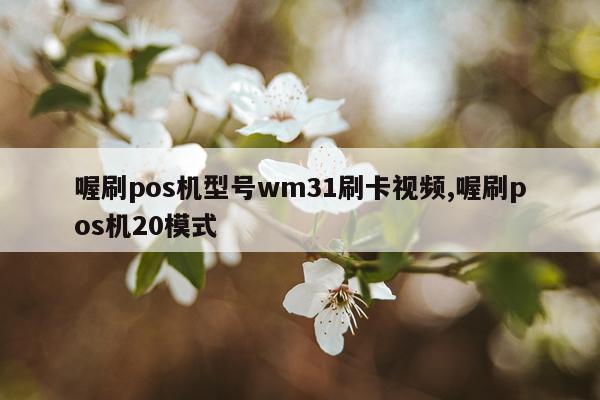 喔刷pos机型号wm31刷卡视频,喔刷pos机20模式