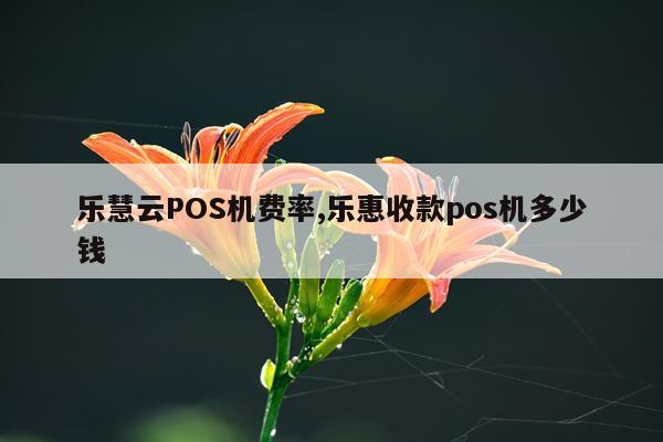 乐慧云POS机费率,乐惠收款pos机多少钱