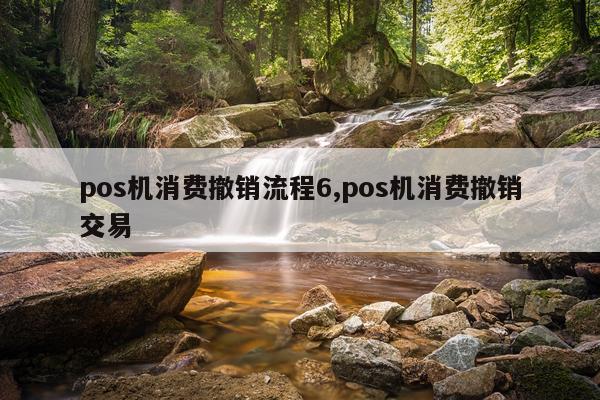 pos机消费撤销流程6,pos机消费撤销交易