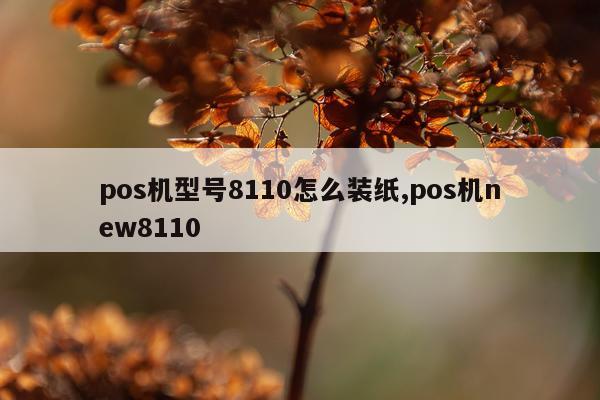 pos机型号8110怎么装纸,pos机new8110