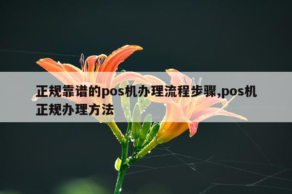 正规靠谱的pos机办理流程步骤,pos机正规办理方法