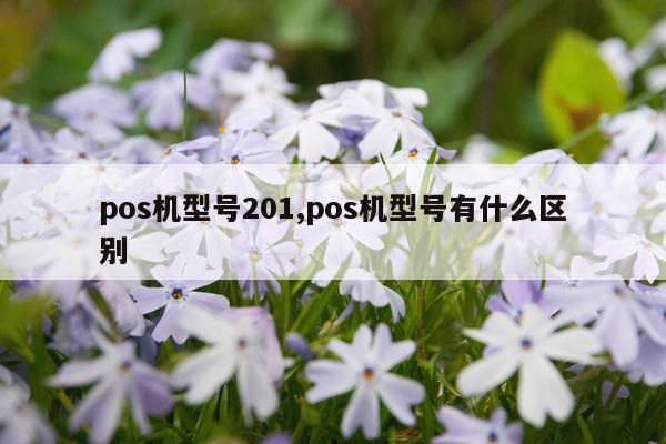 pos机型号201,pos机型号有什么区别