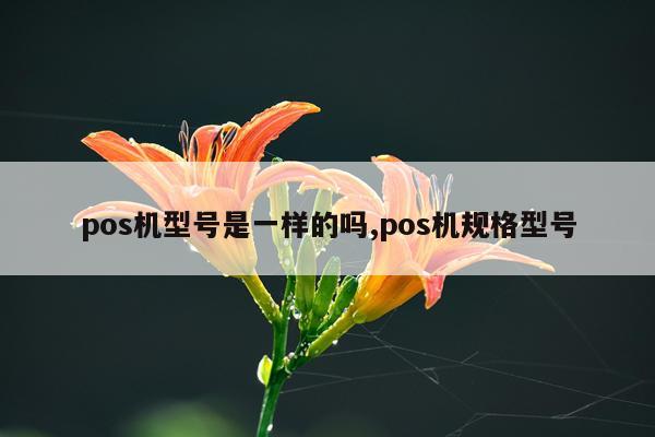 pos机型号是一样的吗,pos机规格型号