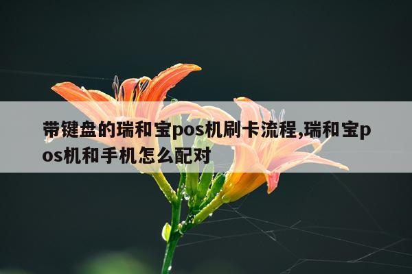 带键盘的瑞和宝pos机刷卡流程,瑞和宝pos机和手机怎么配对