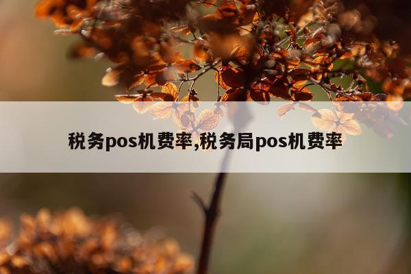 税务pos机费率,税务局pos机费率