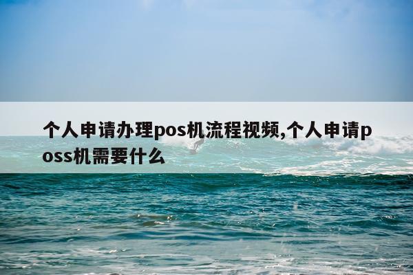 个人申请办理pos机流程视频,个人申请poss机需要什么