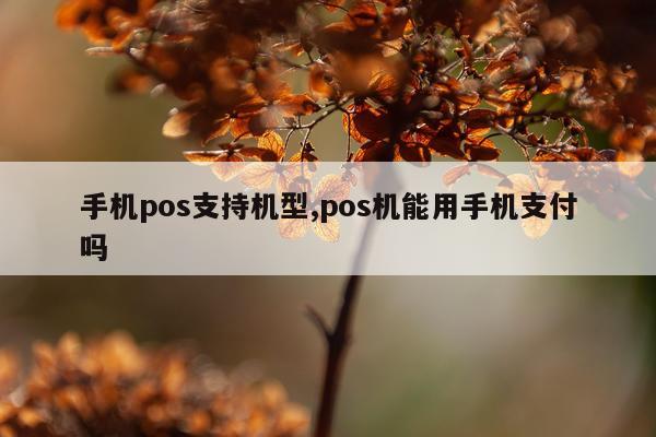 手机pos支持机型,pos机能用手机支付吗