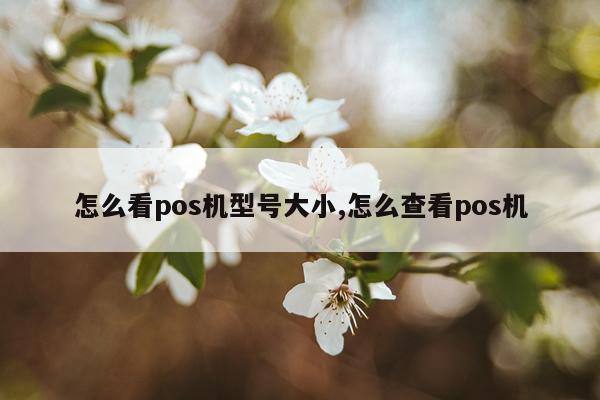 怎么看pos机型号大小,怎么查看pos机