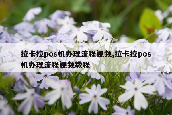 拉卡拉pos机办理流程视频,拉卡拉pos机办理流程视频教程
