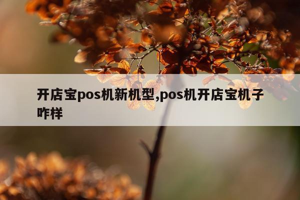 开店宝pos机新机型,pos机开店宝机子咋样