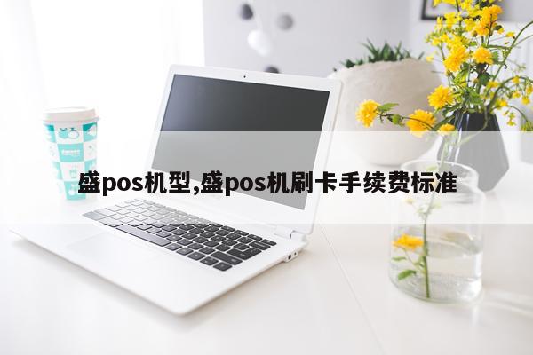 盛pos机型,盛pos机刷卡手续费标准