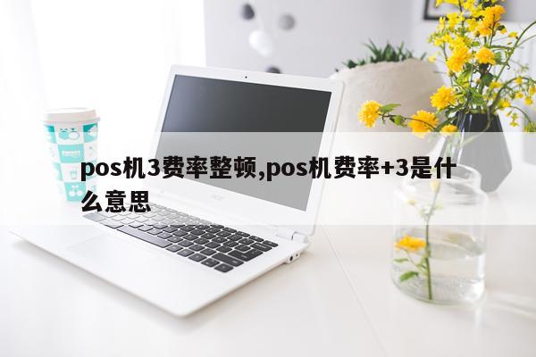 pos机3费率整顿,pos机费率+3是什么意思