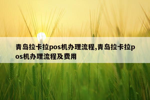 青岛拉卡拉pos机办理流程,青岛拉卡拉pos机办理流程及费用