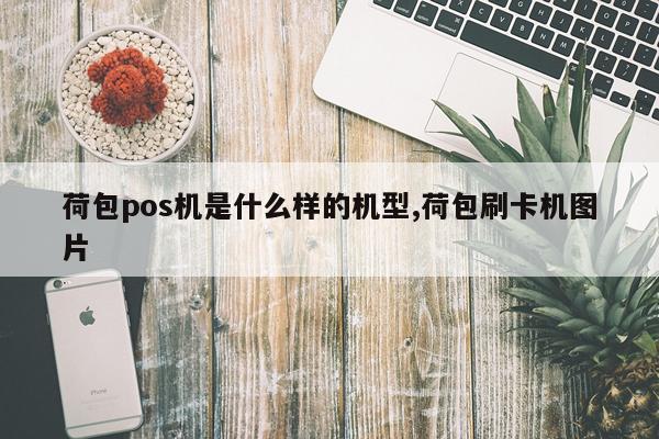 荷包pos机是什么样的机型,荷包刷卡机图片