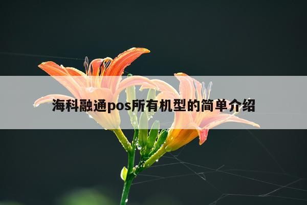 海科融通pos所有机型的简单介绍