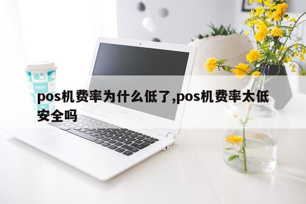 pos机费率为什么低了,pos机费率太低安全吗