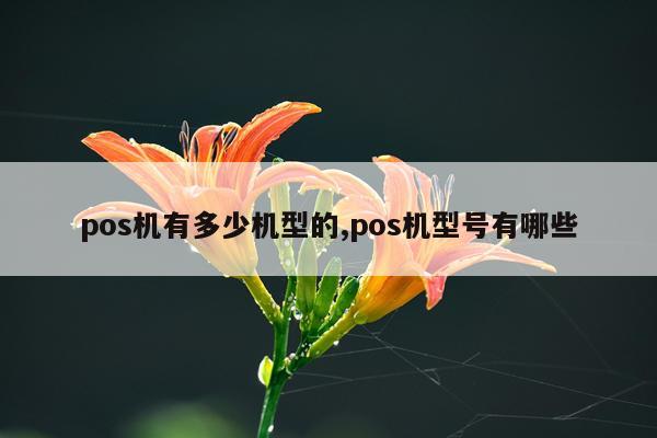 pos机有多少机型的,pos机型号有哪些