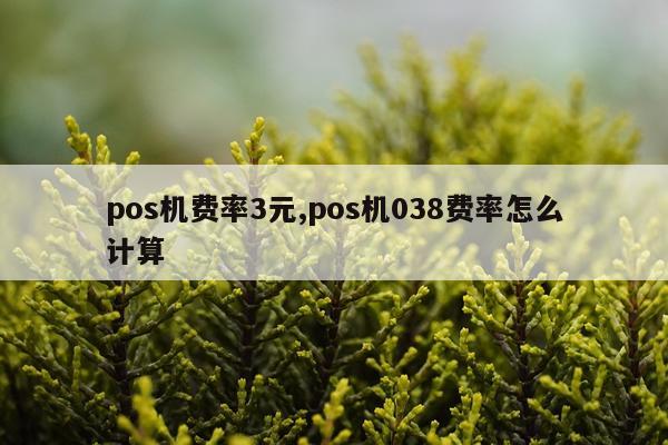 pos机费率3元,pos机038费率怎么计算