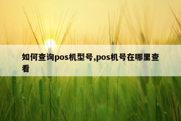 如何查询pos机型号,pos机号在哪里查看