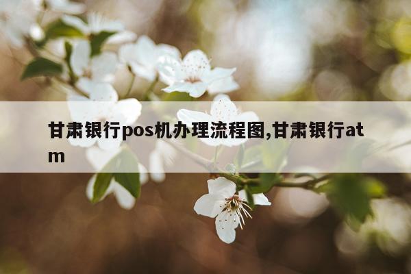 甘肃银行pos机办理流程图,甘肃银行atm