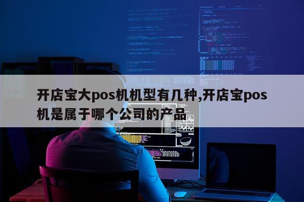 开店宝大pos机机型有几种,开店宝pos机是属于哪个公司的产品