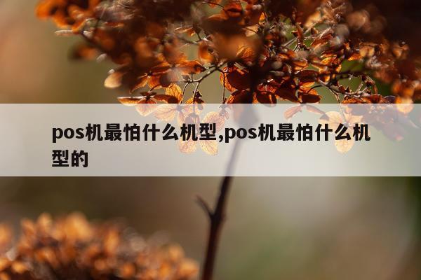 pos机最怕什么机型,pos机最怕什么机型的