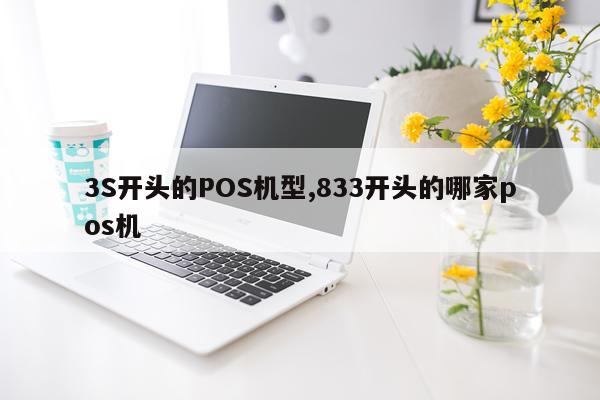 3S开头的POS机型,833开头的哪家pos机