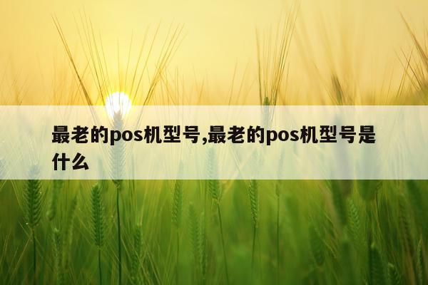 最老的pos机型号,最老的pos机型号是什么