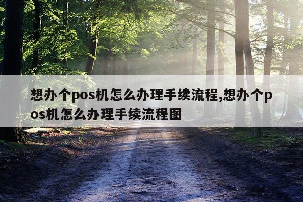 想办个pos机怎么办理手续流程,想办个pos机怎么办理手续流程图