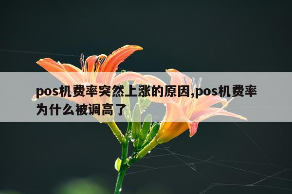 pos机费率突然上涨的原因,pos机费率为什么被调高了