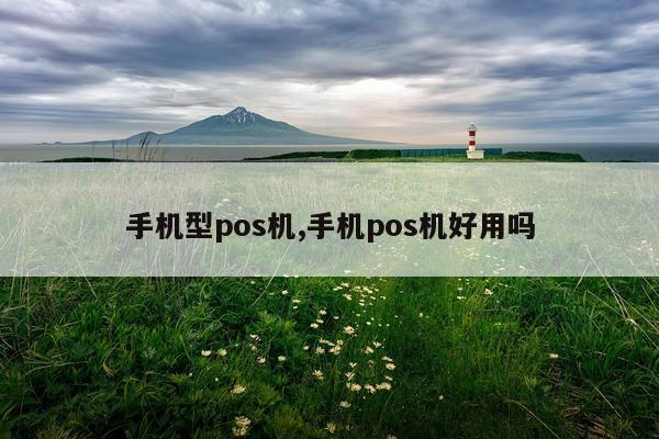 手机型pos机,手机pos机好用吗