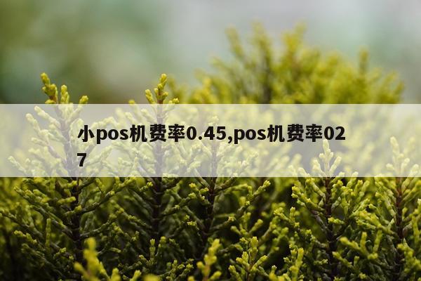 小pos机费率0.45,pos机费率027