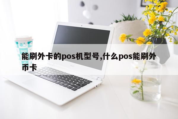 能刷外卡的pos机型号,什么pos能刷外币卡
