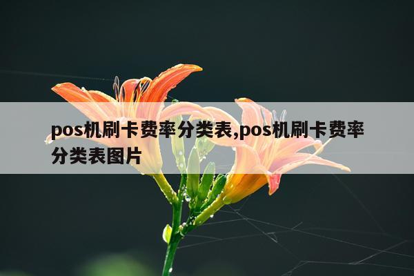 pos机刷卡费率分类表,pos机刷卡费率分类表图片
