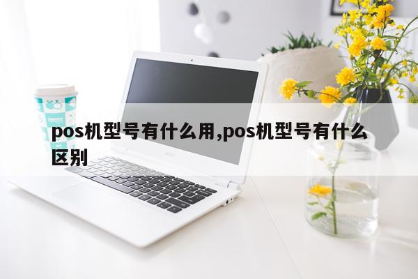 pos机型号有什么用,pos机型号有什么区别