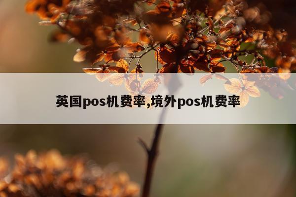 英国pos机费率,境外pos机费率