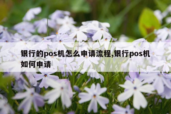 银行的pos机怎么申请流程,银行pos机如何申请