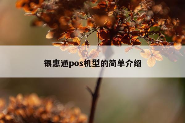 银惠通pos机型的简单介绍
