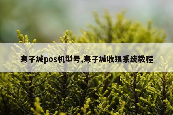 寒子城pos机型号,寒子城收银系统教程