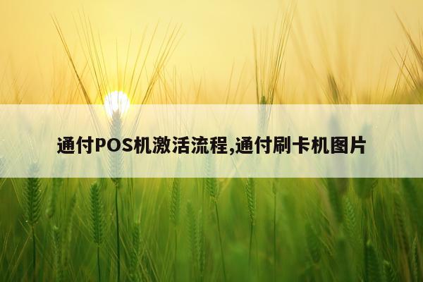 通付POS机激活流程,通付刷卡机图片