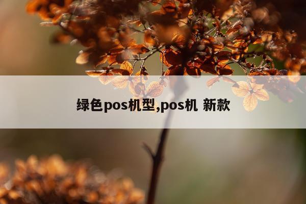 绿色pos机型,pos机 新款