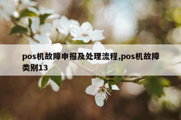 pos机故障申报及处理流程,pos机故障类别13