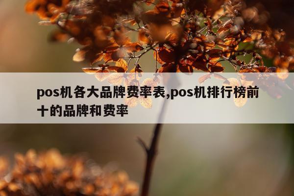 pos机各大品牌费率表,pos机排行榜前十的品牌和费率