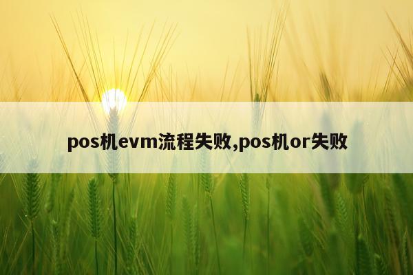 pos机evm流程失败,pos机or失败