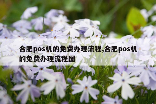 合肥pos机的免费办理流程,合肥pos机的免费办理流程图
